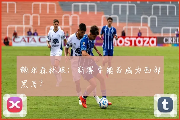鲍尔森林狼:新赛季能否成为西部黑马?